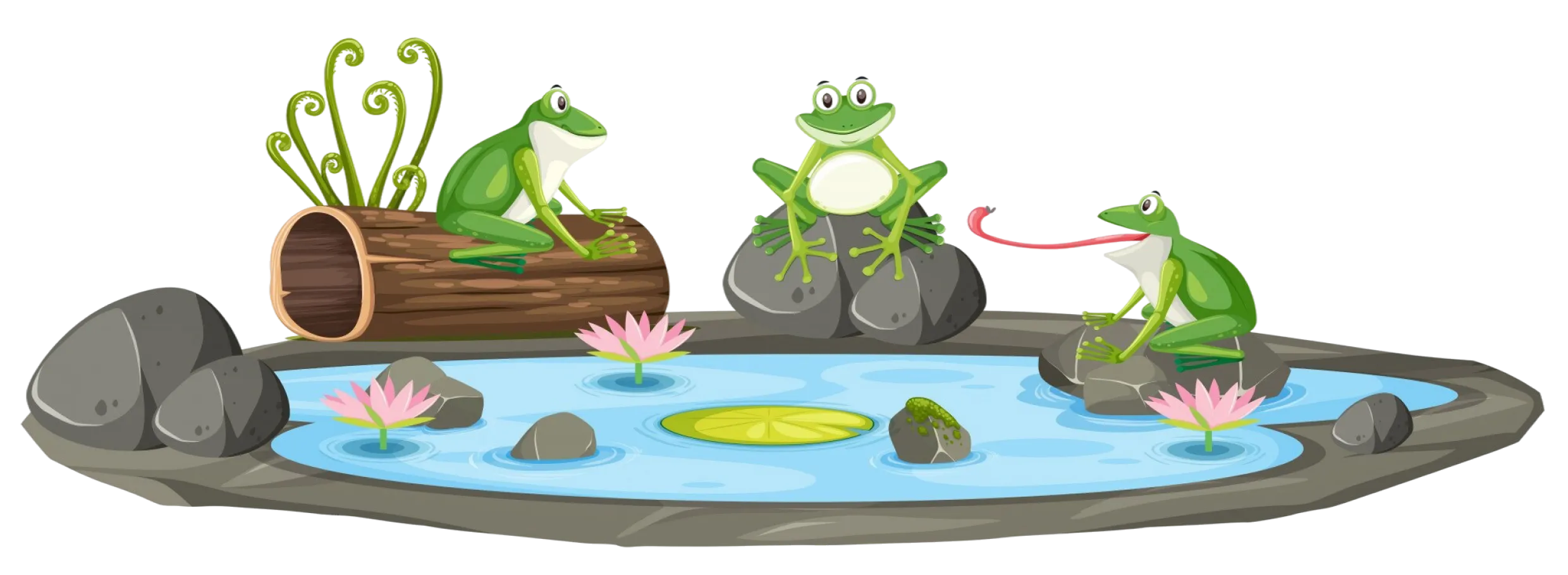 Frogs on lily pads in a mire